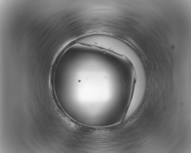 X0000063530788200602172241