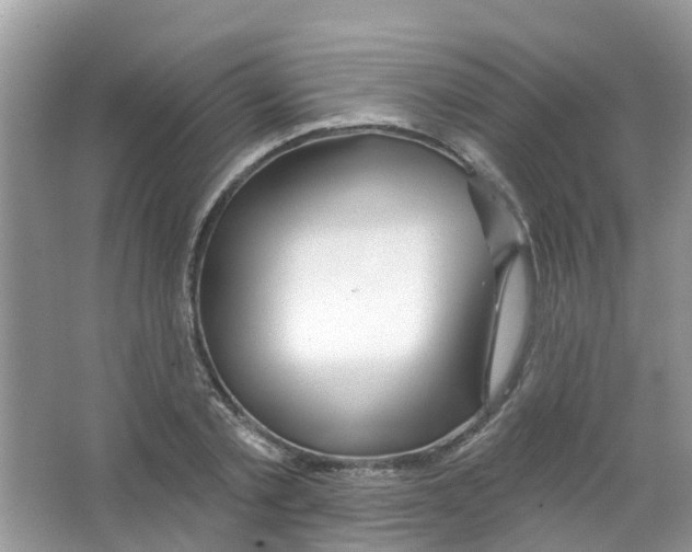 X0000063530789200602172241