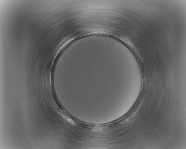 X0000063530790200602172241