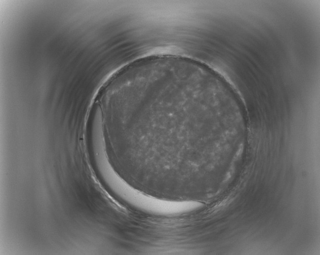 X0000063530791200602172241