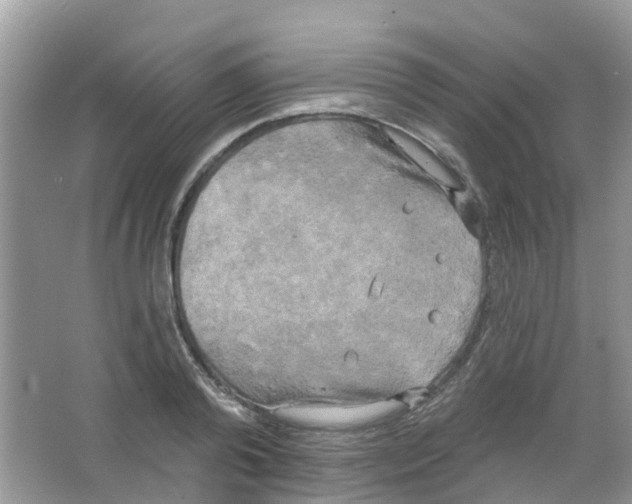 X0000063530792200602172241