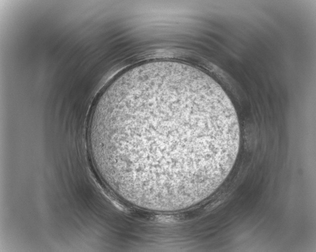 X0000063530794200602172241