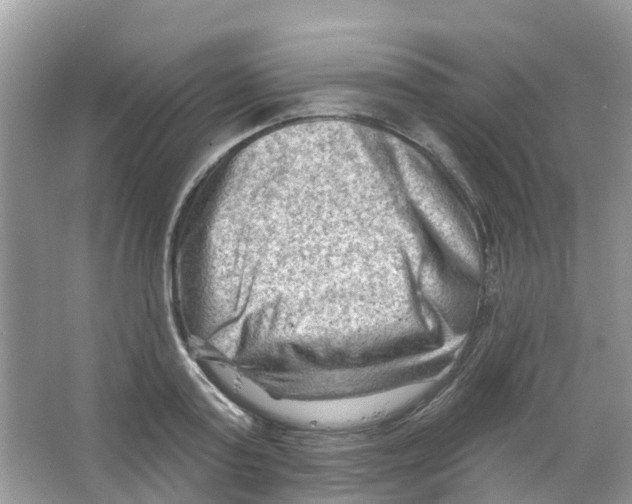 X0000063530795200602172241