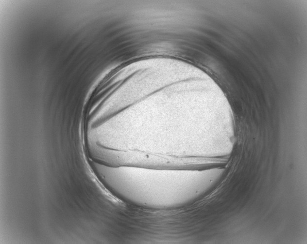 X0000063530796200602172241