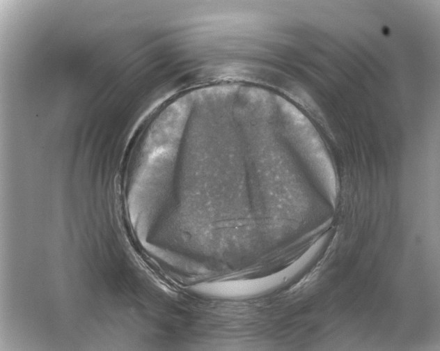 X0000063530798200602172241