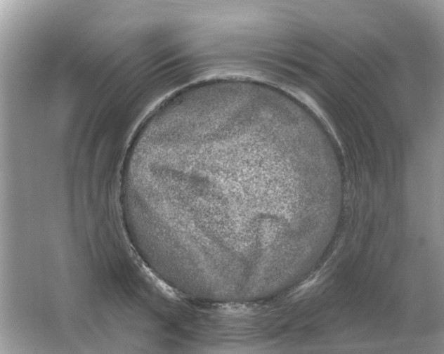 X0000063530799200602172241