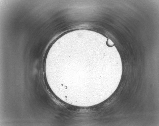 X0000063530800200602172241