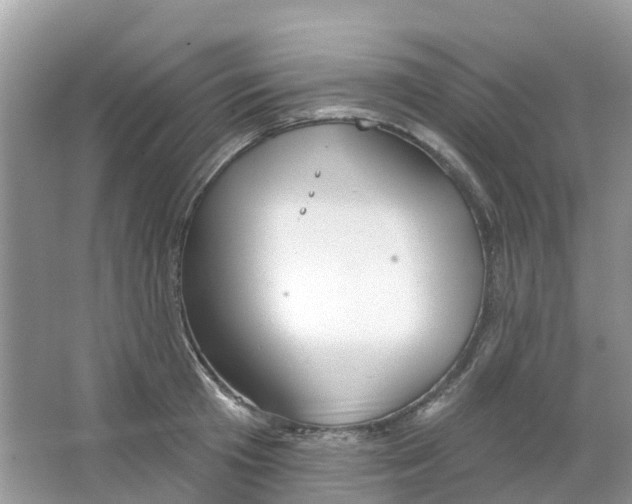 X0000063530801200602172241