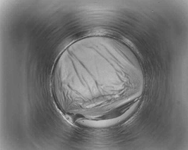 X0000063530802200602172241