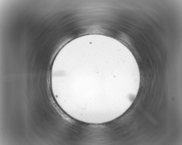 X0000063530804200602172241