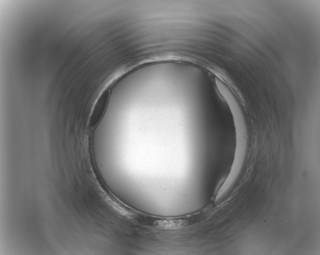 X0000063530805200602172241