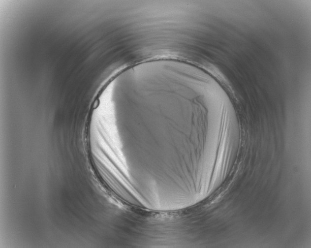 X0000063530806200602172241