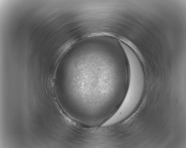 X0000063530809200602172241