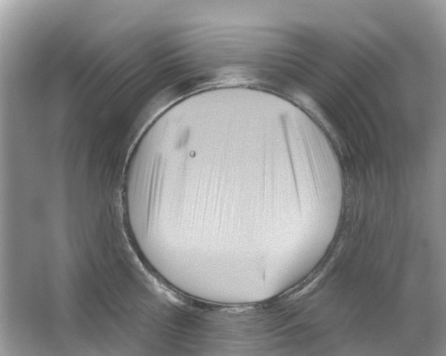 X0000063530810200602172241