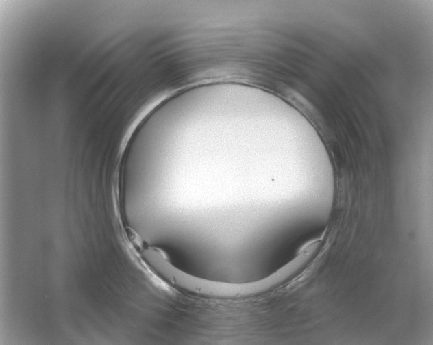 X0000063530812200602172241