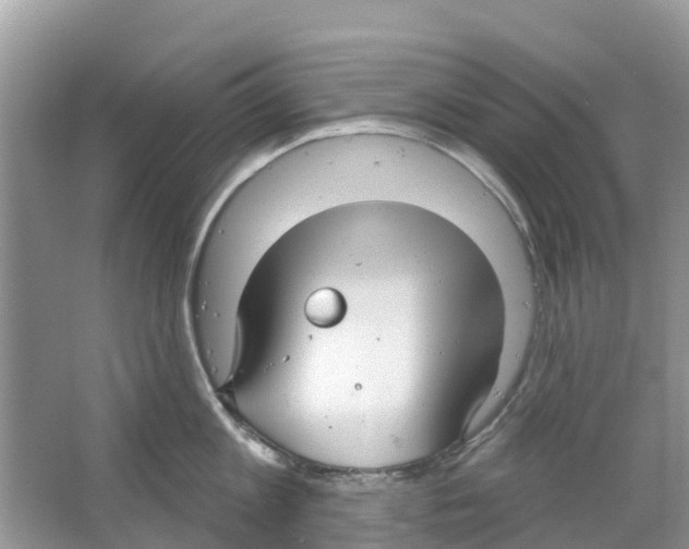 X0000063530813200602172241