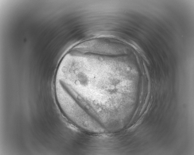 X0000063530814200602172241