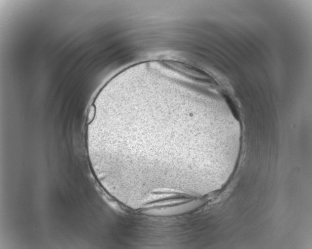 X0000063530816200602172241