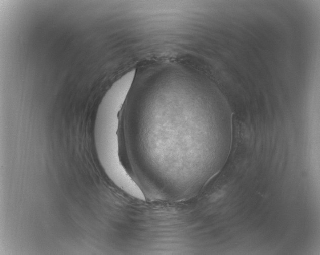 X0000063530818200602172240