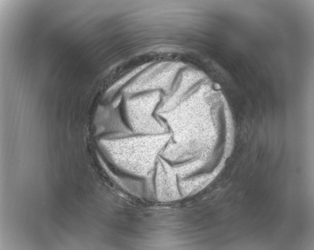 X0000063530821200602172240