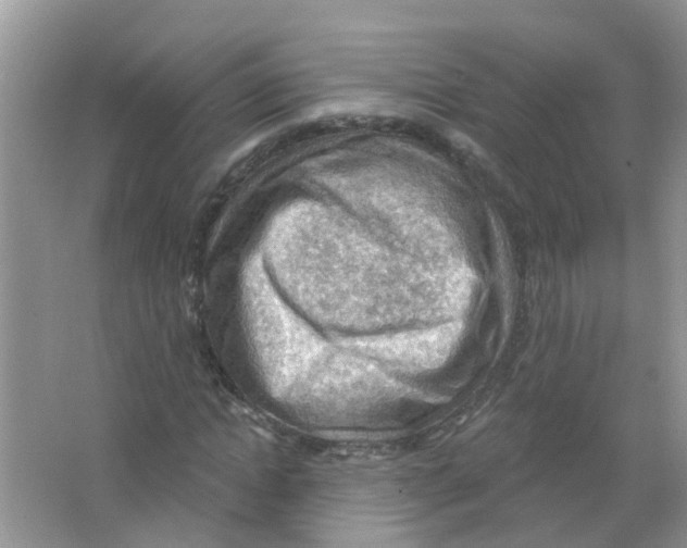 X0000063530822200602172240