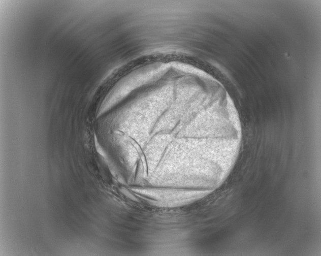 X0000063530823200602172240