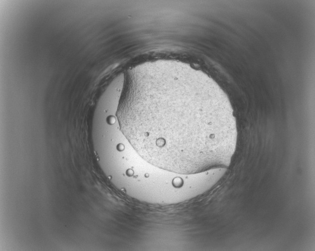 X0000063530824200602172240