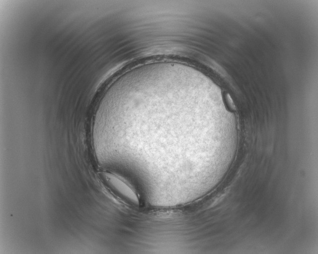 X0000063530826200602172240