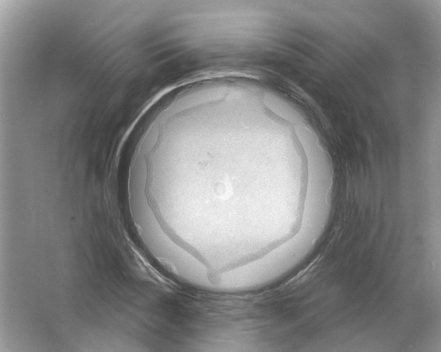 X0000063530828200602172240