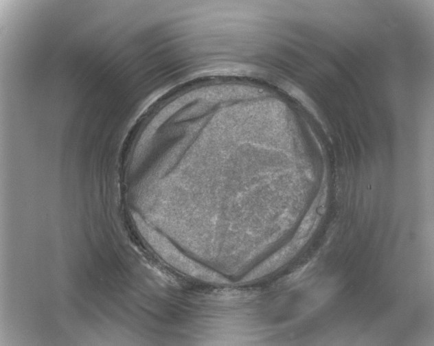 X0000063530829200602172240