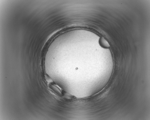 X0000063530830200602172240