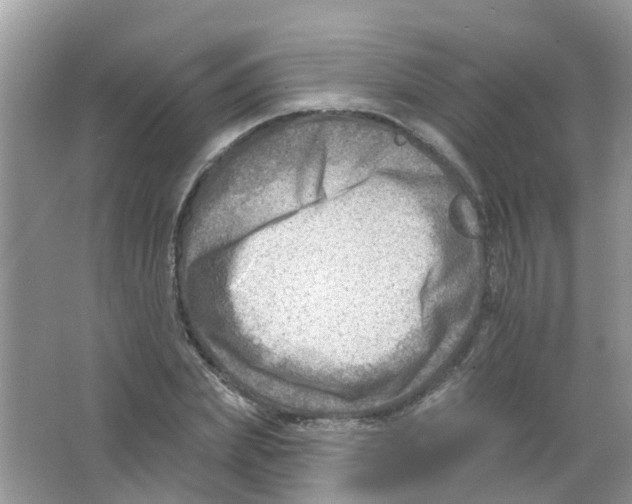 X0000063530831200602172240