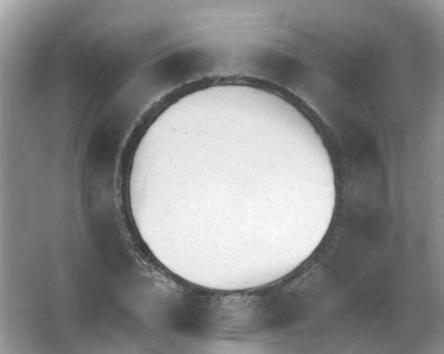 X0000063530832200602172240