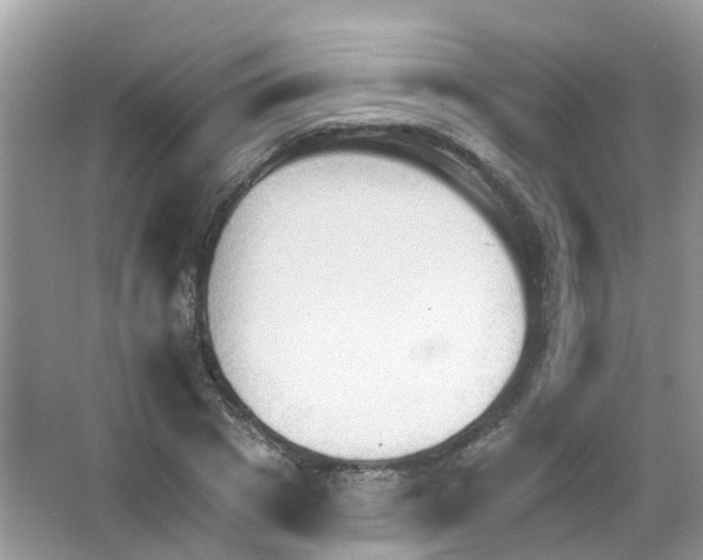 X0000063530833200602172240