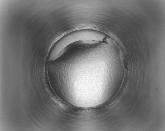 X0000063530834200602172240