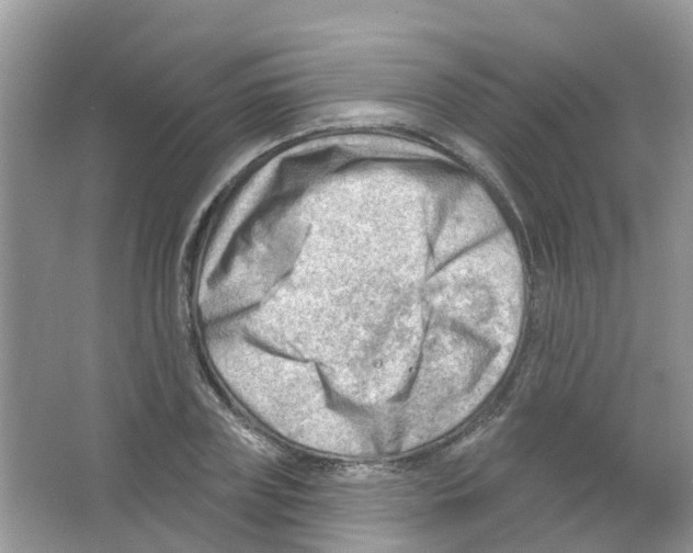 X0000063530835200602172240