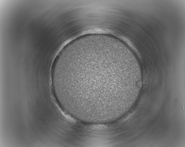 X0000063530837200602172240