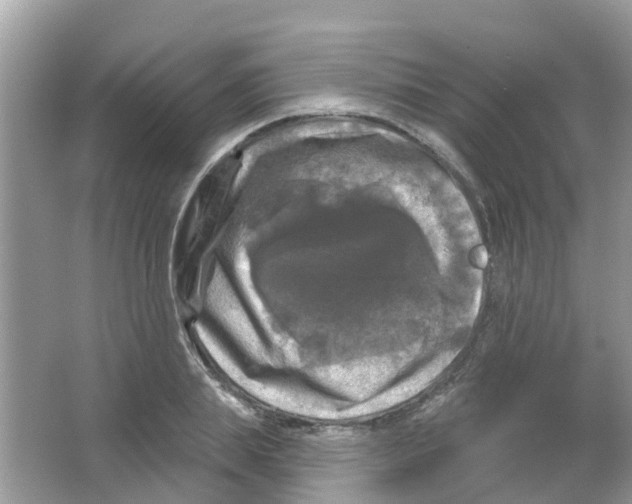 X0000063530839200602172240