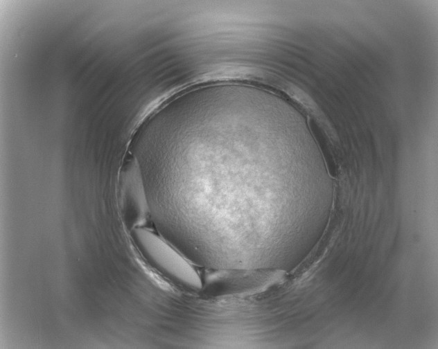 X0000063530842200602172240