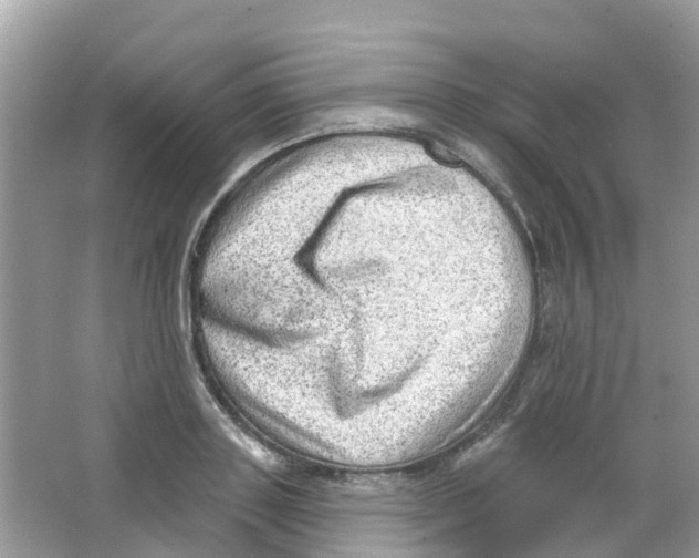 X0000063530843200602172240