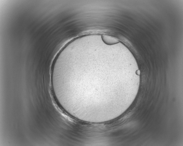 X0000063530844200602172240