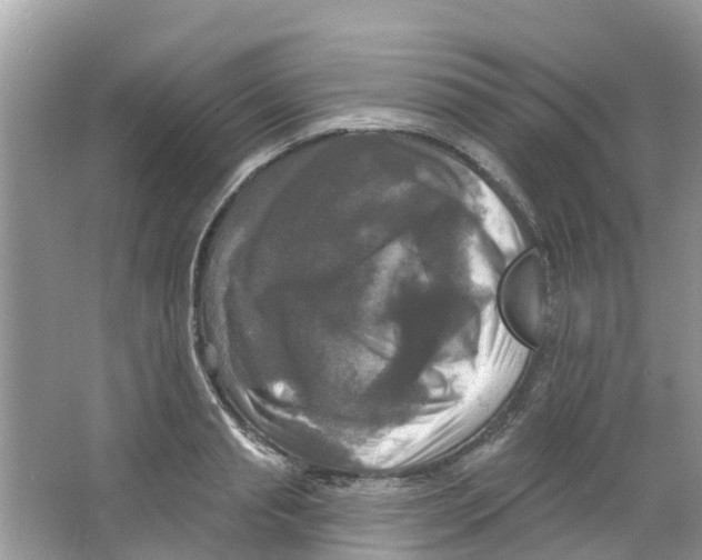 X0000063530845200602172240