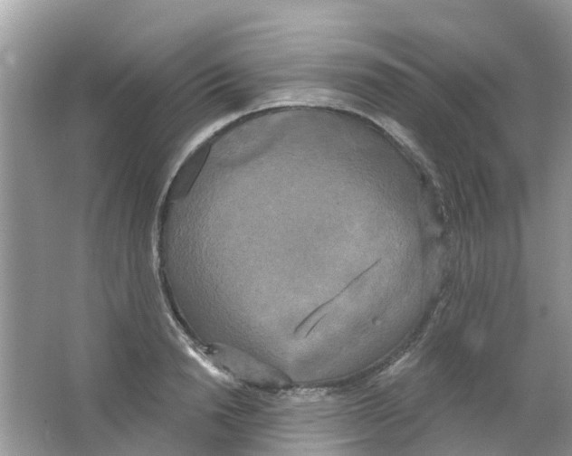 X0000063530846200602172240