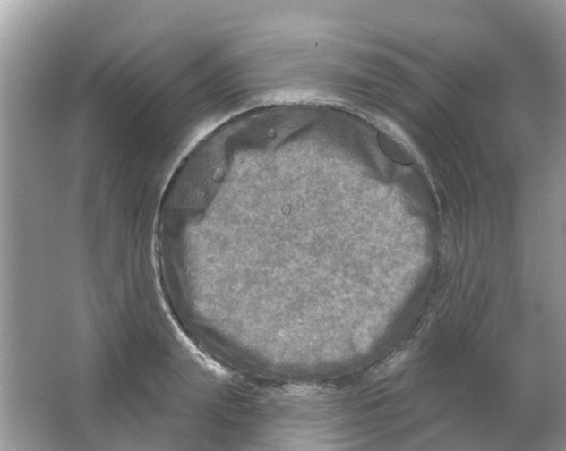 X0000063530847200602172240