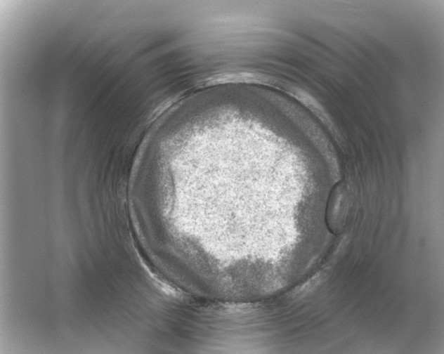 X0000063530849200602172241