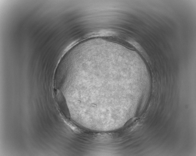 X0000063530850200602172241