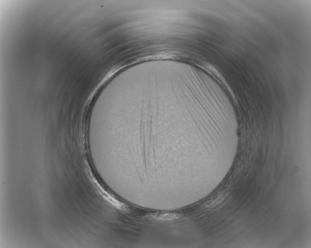 X0000063530851200602172241