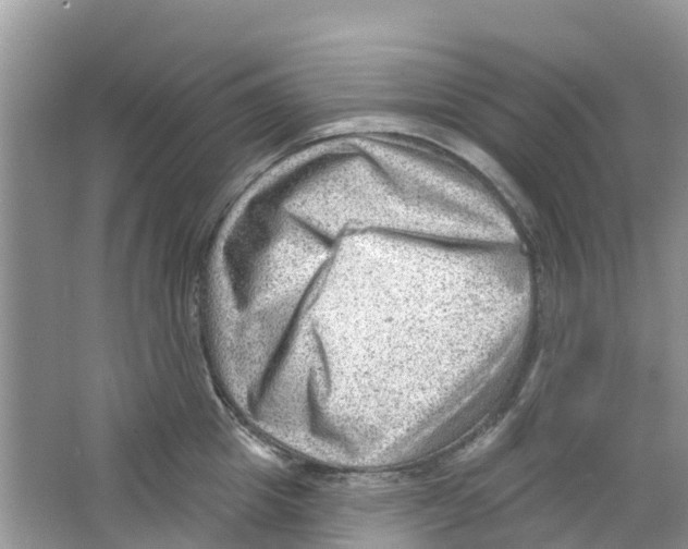 X0000063530857200602172241