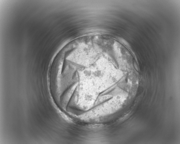 X0000063530859200602172241