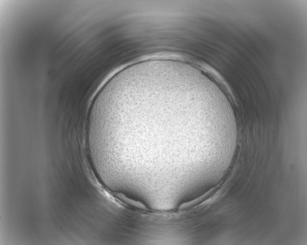 X0000063530860200602172241